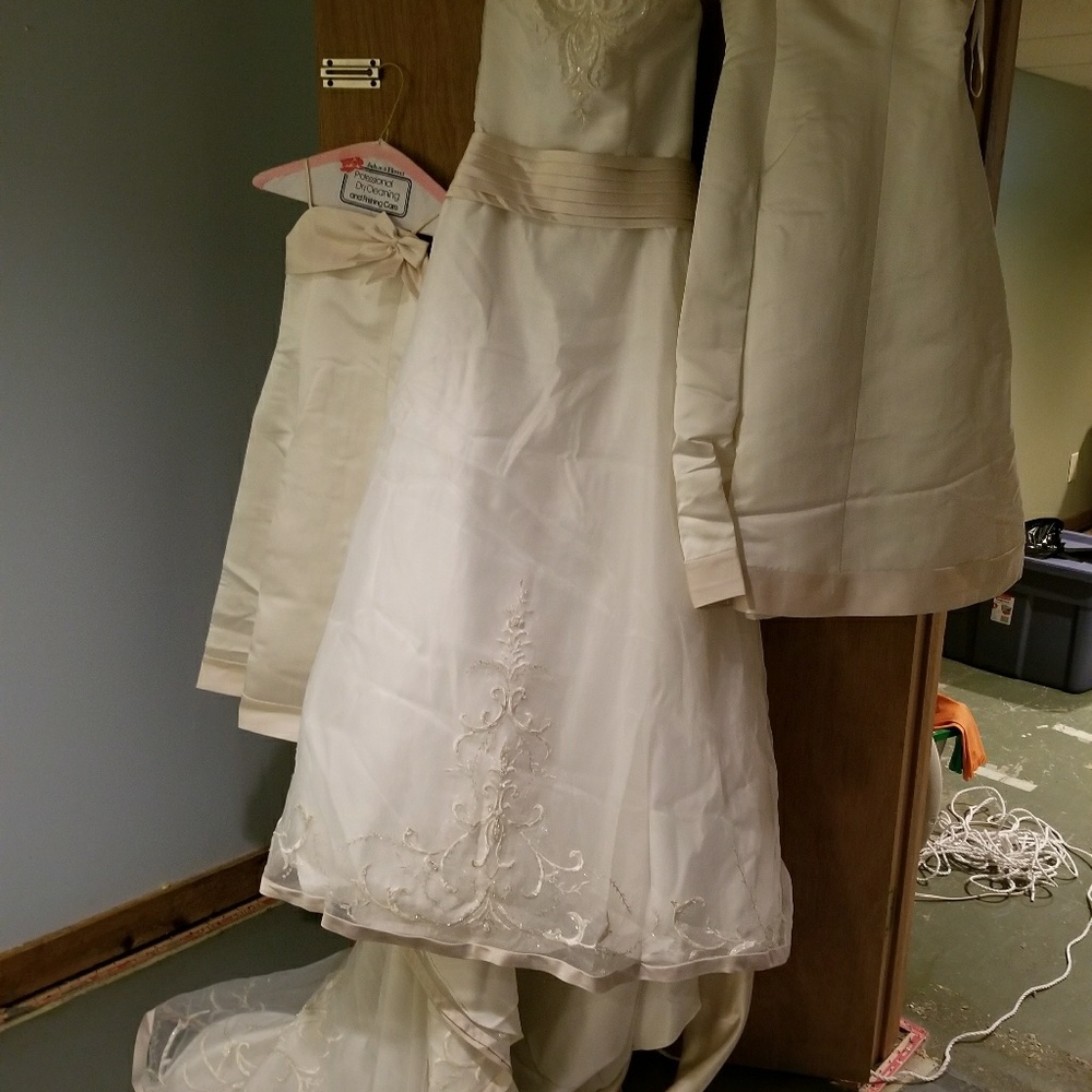 Wedding/flower girl dress